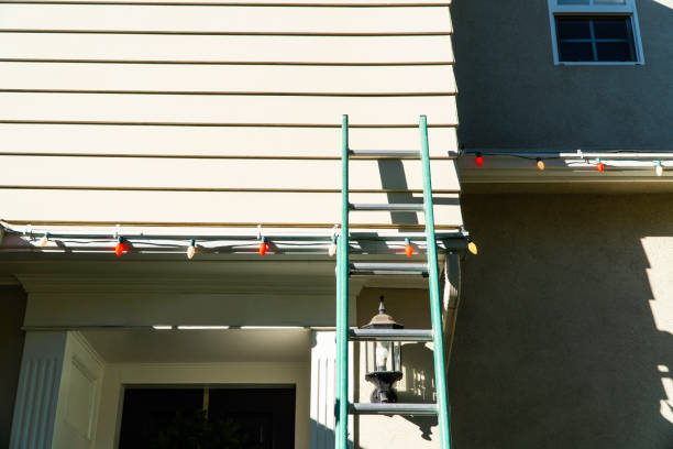 Best Brick Veneer Siding  in Mission Viejo, CA