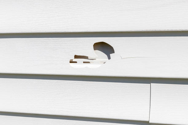 Affordable siding repair and maintenance services in Mission Viejo, CA