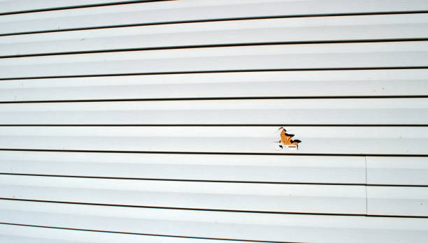 Best Siding Painting and Refinishing  in Mission Viejo, CA