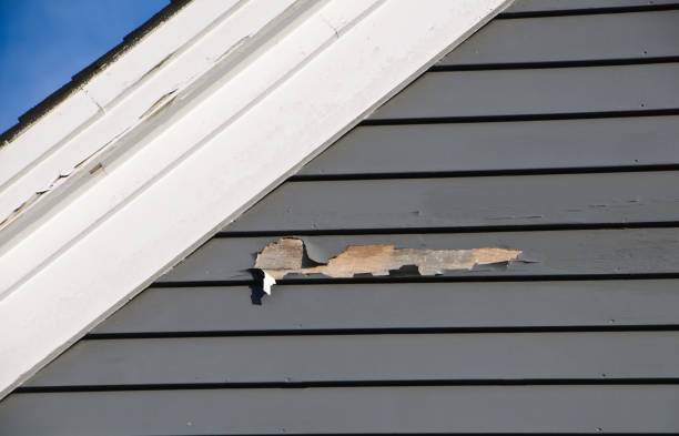 Best Siding Removal and Disposal  in Mission Viejo, CA